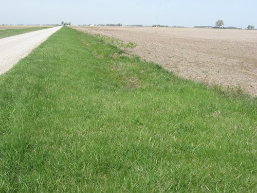 Property photo 24 - 172 Acres Offered in 3 Tracts - Prime Farmland